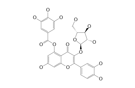 5-GALLOYLQUERCETIN-3-O-ALPHA-L-ARABINOFURANOSIDE