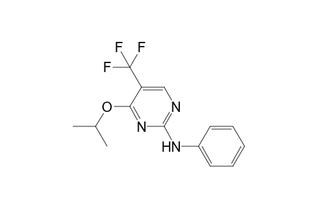 2-phenylamino-4-iso-propoxy-5-(trifluoromethyl)pyrimidine