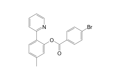 5-Methyl-2-(pyridin-2-yl)phenyl 4-bromobenzoate