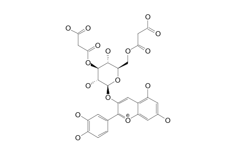 CYANIDIN-3-O-(3'',6''-DIMALONYL-BETA-GLUCOPYRANOSIDE)