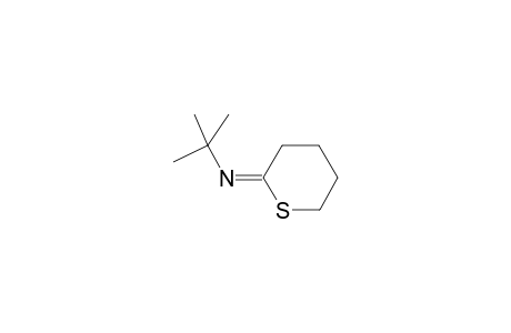 t-Buty(tetrahydrothiopyran-2-ylidene)amine