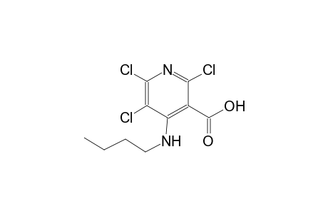 4-(butylamino)-2,5,6-trichloro-3-pyridinecarboxylic acid