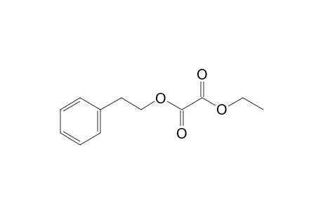 Oxalic acid, ethyl 2-phenylethyl ester