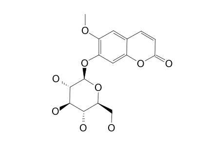 SCOPOLIN