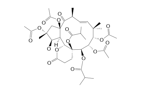 TERRACINOLIDE-H;(2R*,3R*,4R*,5R*,6S*,7R*,8S*,9S*,13S*,15R*)-2,8,9,15-TETRAACETOXY-5,21-EPOXY-3-HYDROXY-6,7-DIISOBUTYROYLOXY-14,21-DIOXO-17-ETHYLJA