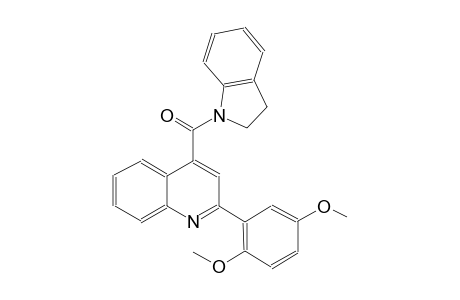4-(2,3-dihydro-1H-indol-1-ylcarbonyl)-2-(2,5-dimethoxyphenyl)quinoline