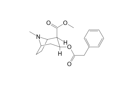 Phenylacetoxy-ecgonine methyl ester