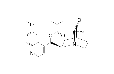 (2S,8R,9S)-2-Bromo-9-isobutyryloxyruban-3-one
