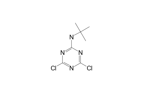 2-(TERT.-BUTYLAMINO)-4,6-DICHLORO-1,3,5-TRIAZINE