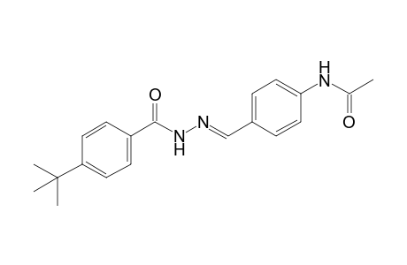 p-tert-butylbenzoic acid, (p-acetamidobenzylidene)hydrazide
