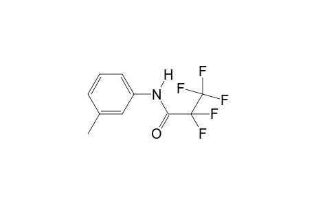 2,2,3,3,3-pentafluoro-N-(3-methylphenyl)propanamide