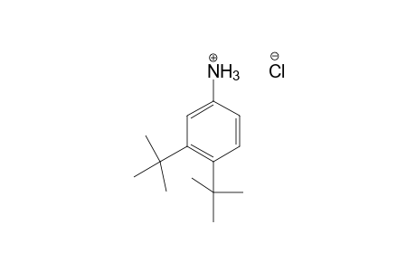 Aniline, 3,4-di-tert-butyl-, hydrochloride