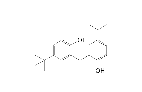 2,2'-Methylenebis(4-t-butylphenol)