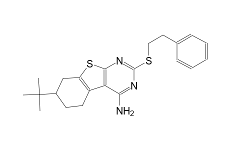 7-tert-butyl-2-[(2-phenylethyl)sulfanyl]-5,6,7,8-tetrahydro[1]benzothieno[2,3-d]pyrimidin-4-amine