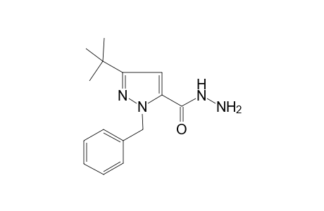 1-Benzyl-3-(tert-butyl)-1H-pyrazole-5-carbohydrazide