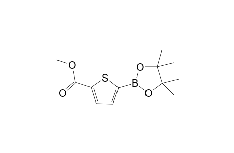 Methyl 5-(4,4,5,5-tetramethyl-1,3,2-dioxaborolan-2-yl)thiophene-2-carboxylate