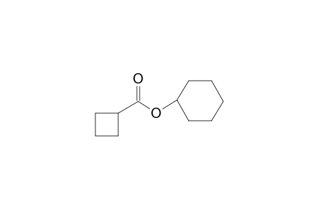 Cyclobutanecarboxylic acid, cyclohexyl ester