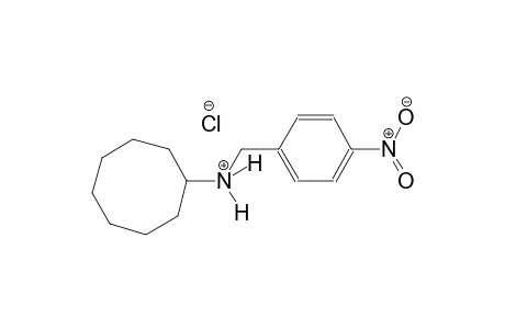N-(4-nitrobenzyl)cyclooctanaminium chloride