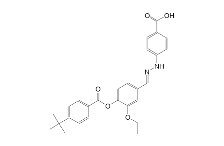 4-((2E)-2-{4-[(4-tert-butylbenzoyl)oxy]-3-ethoxybenzylidene}hydrazino)benzoic acid