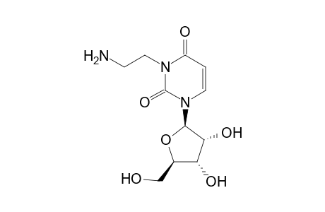 3-(2-AMINOETHYL)URIDINE