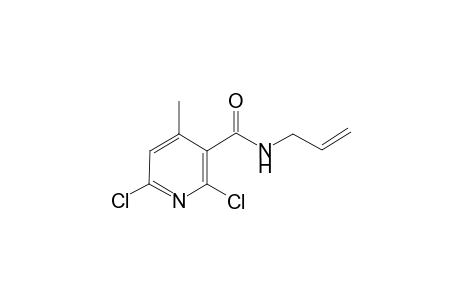 N-Allyl-2,6-dichloro-4-methyl-nicotinamide