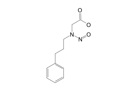 (Z)-N-NITROSO-N-(3-PHENYLPROPYL)GLYCINE