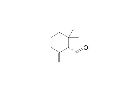(1S)-2,2-dimethyl-6-methylene-1-cyclohexanecarboxaldehyde