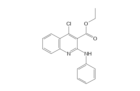 2-ANILINO-4-CHLORO-3-QUINOLINECARBOXYLIC ACID, ETHYL ESTER
