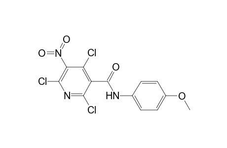 Pyridine-3-carboxamide, 2,4,6-trichloro-N-(4-methoxyphenyl)-5-nitro-