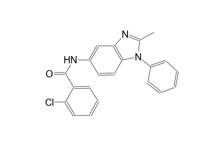 benzamide, 2-chloro-N-(2-methyl-1-phenyl-1H-benzimidazol-5-yl)-