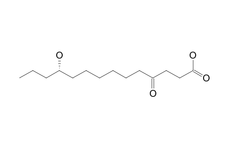 11-HYDROXY-4-OXO-TETRADECANOIC-ACID