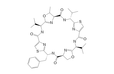 PATELLAMIDE-B