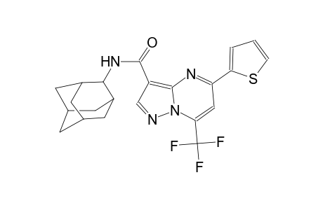 N-(2-adamantyl)-5-(2-thienyl)-7-(trifluoromethyl)pyrazolo[1,5-a]pyrimidine-3-carboxamide