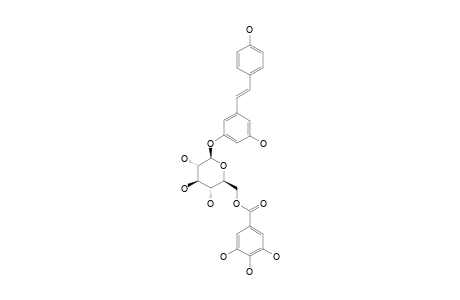 RESVERATOROL-3-O-BETA-D-(6-O-GALLOYL)-GLUCOPYRANOSIDE