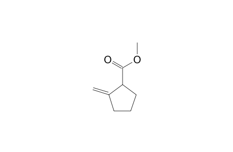Cyclopentanecarboxylic acid, 2-methylene-, methyl ester
