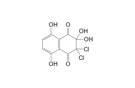 2,2-bis(chloranyl)-3,3,5,8-tetrakis(oxidanyl)naphthalene-1,4-dione