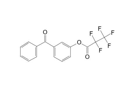 3-Hydroxybenzophenone, pentafluoropropionate