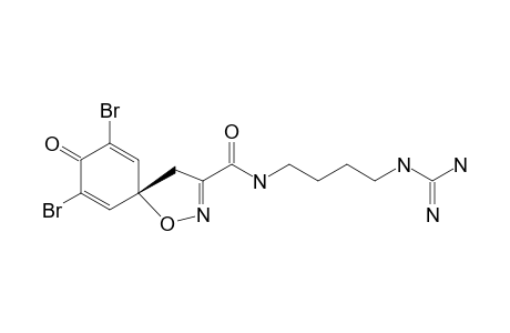 CLAVATADINE_C;N-(4-{[AMINO-(IMINO)-METHYL]-AMINO}-BUTYL)-7,9-DIBROMO-8-OXO-1-OXA-2-AZASPIRO-[4.5]-DECA-2,6,9-TRIENE-3-CARBOXAMIDE