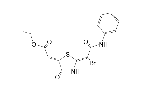 (2Z,5Z)-(5-Ethoxycarbonylmethylidene-4-oxothiazolidin-2-ylidene)-N-phenyl-2-bromoethanamide