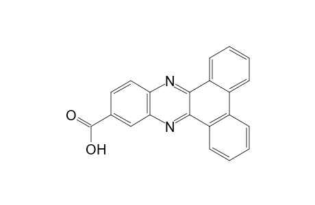 Dibenzo[a,c]phenazine-11-carboxylic acid