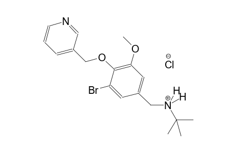 benzenemethanaminium, 3-bromo-N-(1,1-dimethylethyl)-5-methoxy-4-(3-pyridinylmethoxy)-, chloride