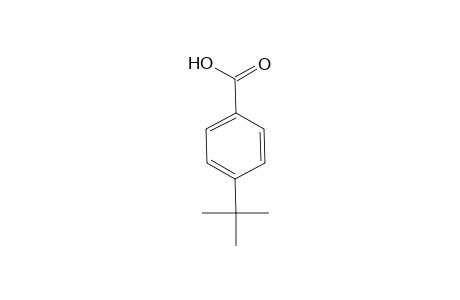 4-Tert-butylbenzoic acid