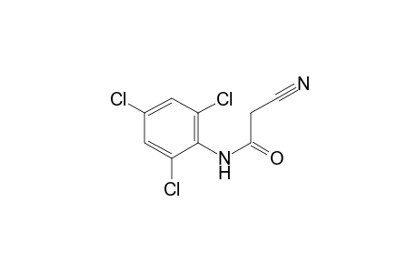 Acetamide, 2-cyano-N-(2,4,6-trichlorophenyl)-