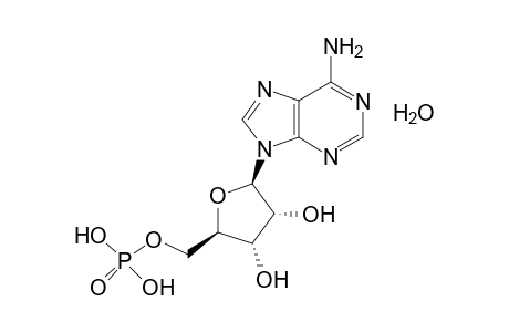 5'-Adenylic acid