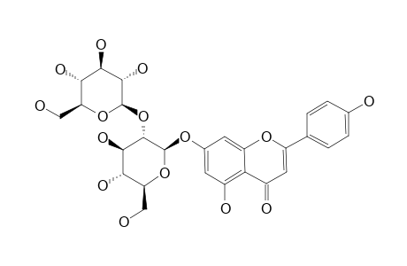 APIGENIN-7-O-SOPHOROSIDE