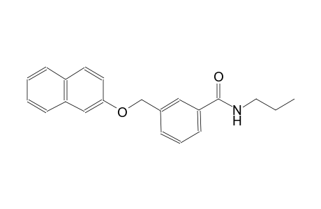 3-[(2-naphthyloxy)methyl]-N-propylbenzamide