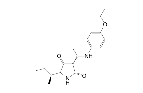 (5RS,6S)-5-sec-Butyl-3-[1-(2-ethoxylphenyl)amino]ethylidene-1H-pyrrolidine-2,4-dione