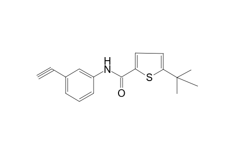 5-(tert-Butyl)-N-(3-ethynylphenyl)thiophene-2-carboxamide