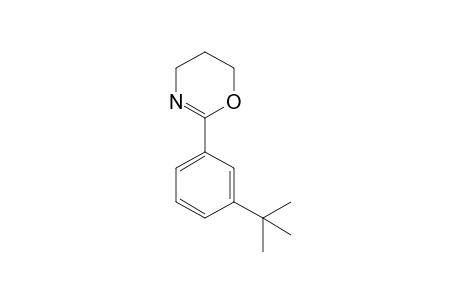 2-[3-(tert-butyl)phenyl]-5,6-dihydro-4H-1,3-oxazine