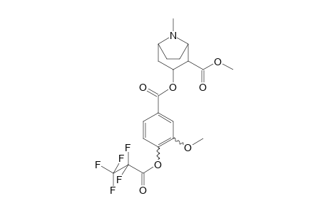 Cocaine-M (HO-methoxy-) PFP